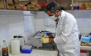 تشخیص بیماری های نوپدید و بازپدید که جوندگان و حیوانات حیات وحش عامل آن هستند