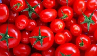 علت افزایش قیمت پیاز و گوجه فرنگی 