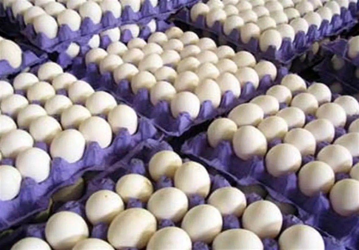  ۱۱۶ تن تخم مرغ وارد کشور شد