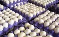  ۱۱۶ تن تخم مرغ وارد کشور شد