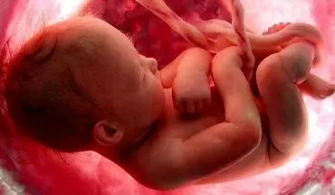تصاویر شگفت انگیزی از روند کامل شدن جنین