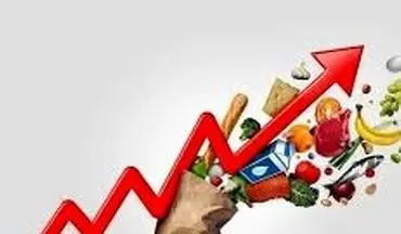شروع زمستان اقتصادی برای مرد ایران | مرغ آسایش پر کشید !