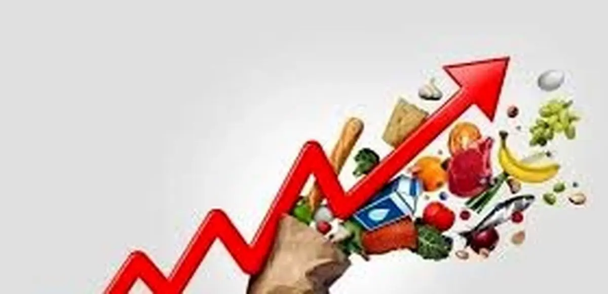 شروع زمستان اقتصادی برای مرد ایران | مرغ آسایش پر کشید !