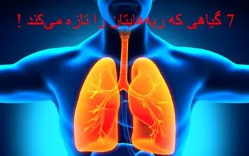 7 گیاهی که ریه‌هایتان را تازه می‌کند!