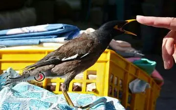 تصاویر دیدنی از محله عبدل‌آباد تهران به روایت دوربین فرتاک نیوز 