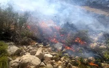 بی‌توجهی گردشگران حادثه آفرید/۳۰ هکتار اراضی پلنگ دره قم طعمه حریق شد