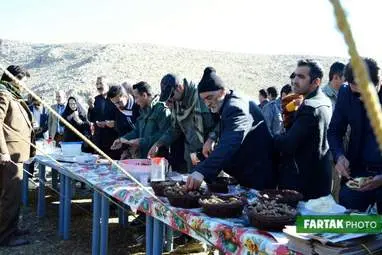 جشنواره بلوط کرمانشاه به روایت تصویر