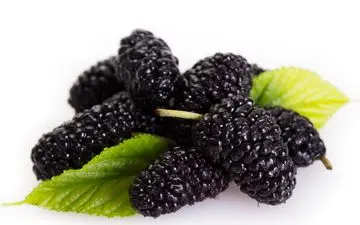 
این میوه تابستانی از سرطان جلوگیری می کند! 