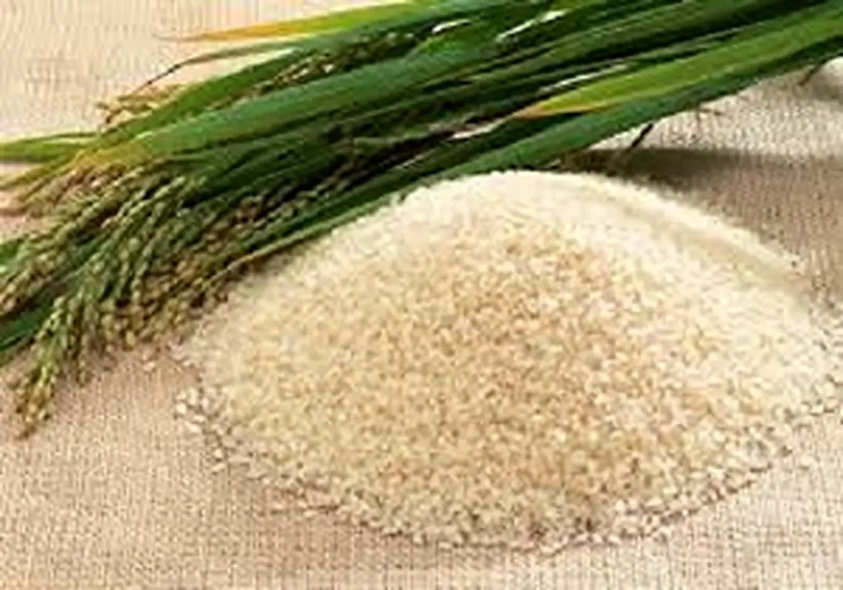 اکبریان:برنج در کارخانه‌های شمال دپو شده؛ افزایش قیمت معنایی ندارد/ برنج خارجی به جمع گرانی ها پیوست