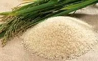 اکبریان:برنج در کارخانه‌های شمال دپو شده؛ افزایش قیمت معنایی ندارد/ برنج خارجی به جمع گرانی ها پیوست