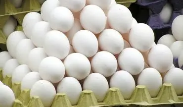 تخم مرغ بیشترین افزایش قیمت سالیانه را در سال 96 داشت