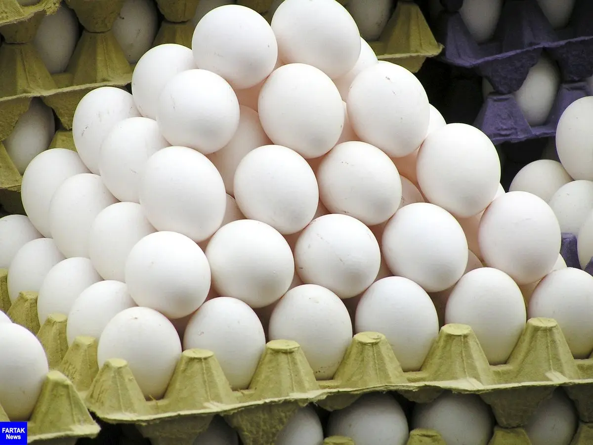  تخم مرغ بیشترین افزایش قیمت سالیانه را در سال 96 داشت