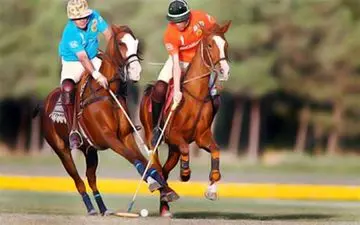 صعود تیم ملی چوگان ایران به جام جهانی آمریکا