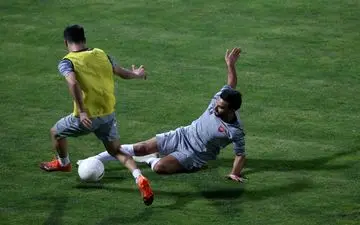 سیامک و جنگندگی برای ترکیب اصلی (عکس)