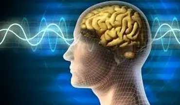 نکات کاربردی برای یافتن بهترین زمان عملکرد مغز