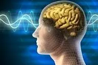 نکات کاربردی برای یافتن بهترین زمان عملکرد مغز
