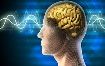 نکات کاربردی برای یافتن بهترین زمان عملکرد مغز