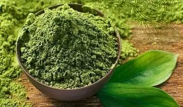 طلای سبز طبیعت/ معجزه حنا برای درمان و زیبایی پوست و مو!