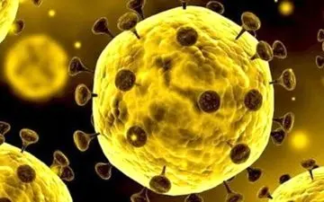 راه‌های انتقال کرونا تغییر کرده است؟