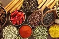 برای باهوش شدن این مواغذایی را مصرف کنید