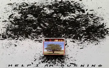 تخریب محیط زیست برابرست با مرگ خاموش نسل‌کشی بشریت 