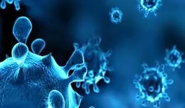 چگونه از ابتلا به «آنفولانزا» پیشگیری کنیم