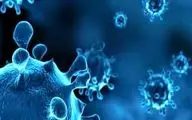 آنفولانزا چیست و چگونه می‌توان از ابتلا جلوگیری کرد؟