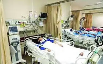 موج مسمومیت با "قارچ" در کرمانشاه فروکش کرد/ مراجعه 522 نفر تا این لحظه