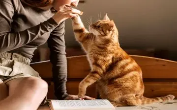 حضور ساده، تأثیری عمیق: حیوانات خانگی چگونه به سلامت روان ما کمک می‌کنند؟