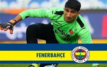  بیرانوند چقدر  برای فنرباغچه آب می خورد؟