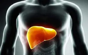  چه کسانی کبدشان چرب می شود؟