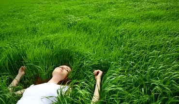 نقش شگفت‌انگیز صدای طبیعت در کاهش فشار خون