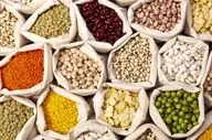 قیمت لوبیا سر به فلک کشید (۶ اردیبهشت) 