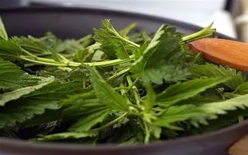 دمنوش‌هایی که ریزش مو را متوقف می‌کنند