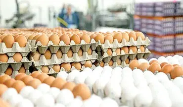  قیمت جدید تخم مرغ در بازار اعلام شد / ۲۰ عدد تخم مرغ ۱۱۰ هزار تومان 