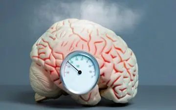  راه‌ کارهایی برای تعادل مزاج مغز

