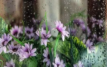 آسمان کشور 4 روز آینده بارانی است