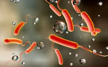 افزایش احتمال بروز بیماری وبا، در فصل گرما و از طریق آب، میوه و سبزیجات آلوده