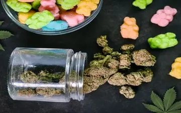 خوراکی‌های حاوی ماری‌جوانا خطر بیماری قلبی زودرس را افزایش می‌دهند