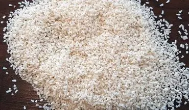 کاهش نیم‌دانه شدن برنج‌ها در گیلان
