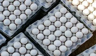 
علت گران شدن تخم مرغ در دو هفته اخیر چیست؟
