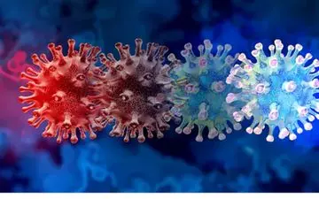 دلمیکرون چیست؟ خطر بروز سویه جدید کرونا به نام "دلمیکرون" در کمین است!