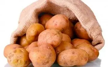 پیش بینی اُفت قیمت سیب زمینی تا چند روز آینده