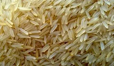 سوال از رئیس جمهور در صورت واردات برنج در فصل برداشت