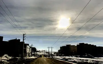 پرند به سرما خورد