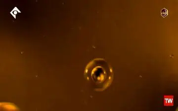 ابداع نانو داروی درمان سرطان مغز