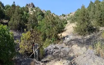  آتش سوزی در منطقه حفاظت شده آق‌داغ خلخال مهار شد