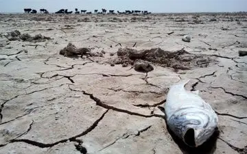 «ابتکار تازه» در توسل به دروغ برای پرآب نشان دادن تالاب هامون