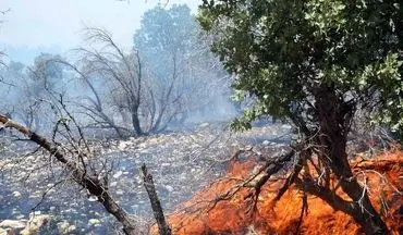 آتش در پارک ملی گلستان/۴ هکتار از اراضی جنگلی در آتش سوخت