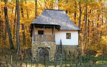 اگر فکر میکنی تیزبینی بگو ببینم روباه کجای تصویر قرار دارد؟